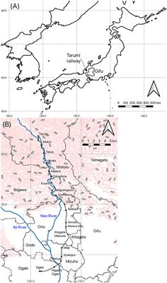 Retrieval of cherry flowering phenology on Flickr and YouTube: a case study along the Tarumi railway, Gifu, Japan